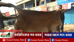 যশোরে ট্যানারি হাটে লোকসানের হিসাব কসছেন ব্যবসায়ীরা
