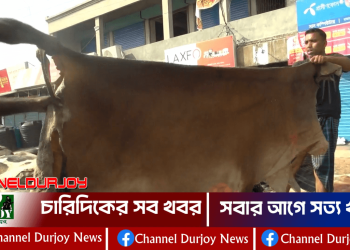 যশোরে ট্যানারি হাটে লোকসানের হিসাব কসছেন ব্যবসায়ীরা
